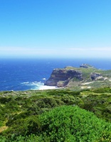 Table Mountain National Park South Africa
